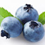 Blueberry (Seasonal)